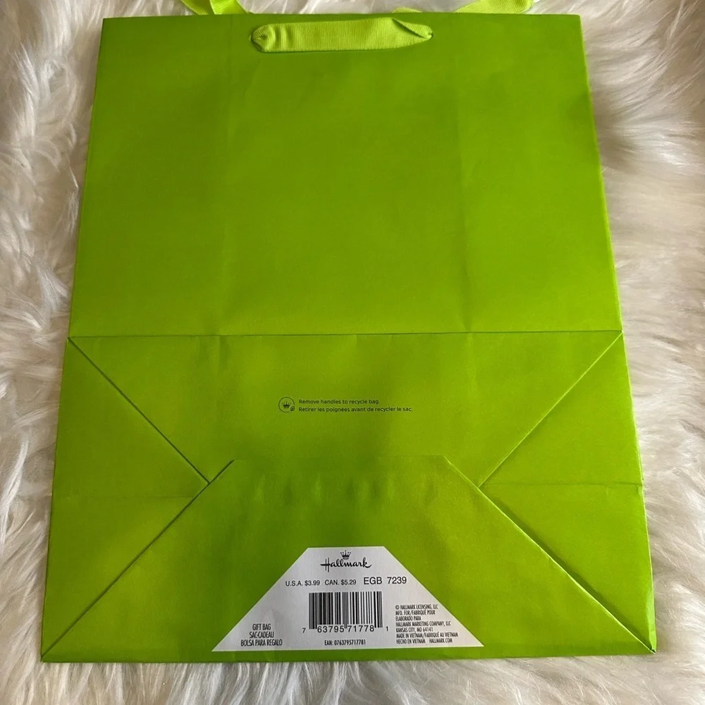 🩷5/$10 Lime Green gift Bag